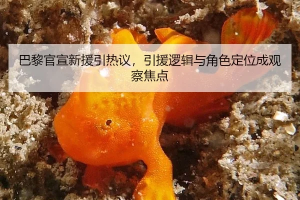 ba-li-guan-xuan-xin-yuan-yin-re-yi-yin-yuan-luo-ji-yu-jue-se-ding-wei-cheng-guan-cha-jiao-dian-2-279.jpg